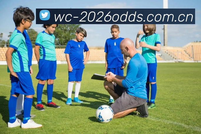 FIFA世界杯平台生态图